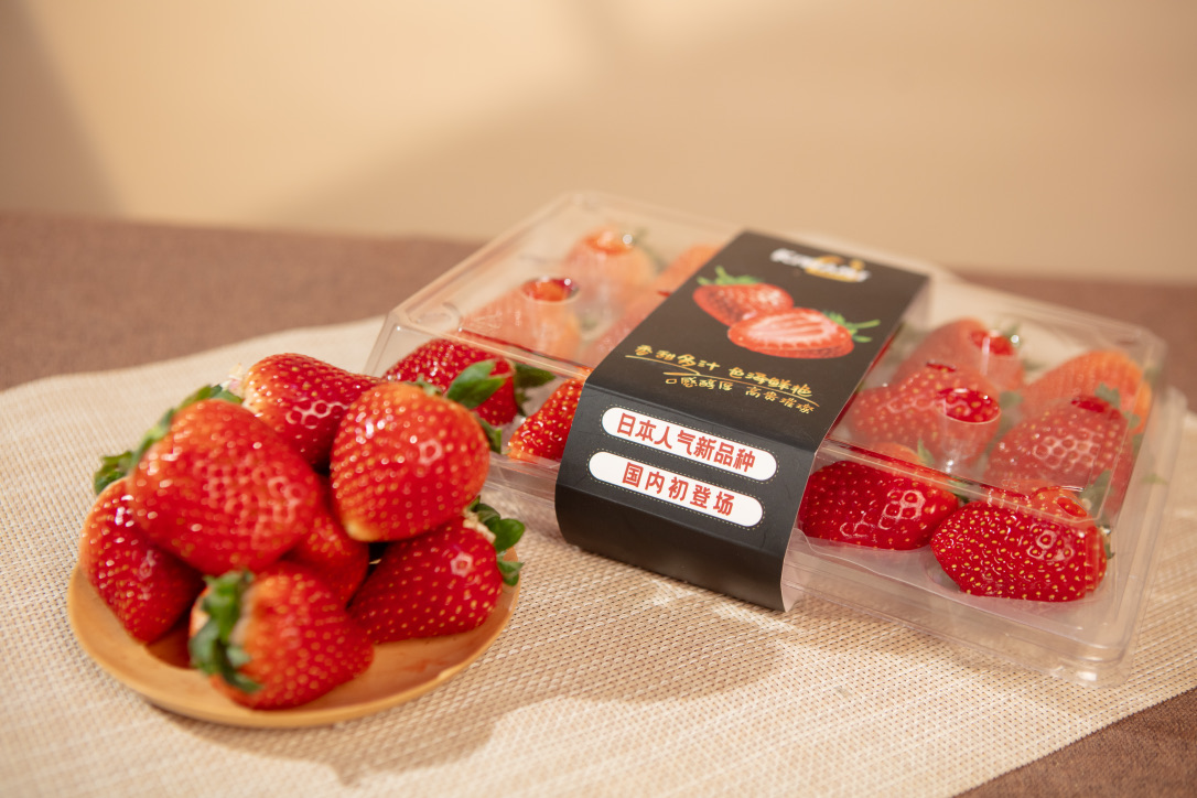 Royal Queen retail packaging